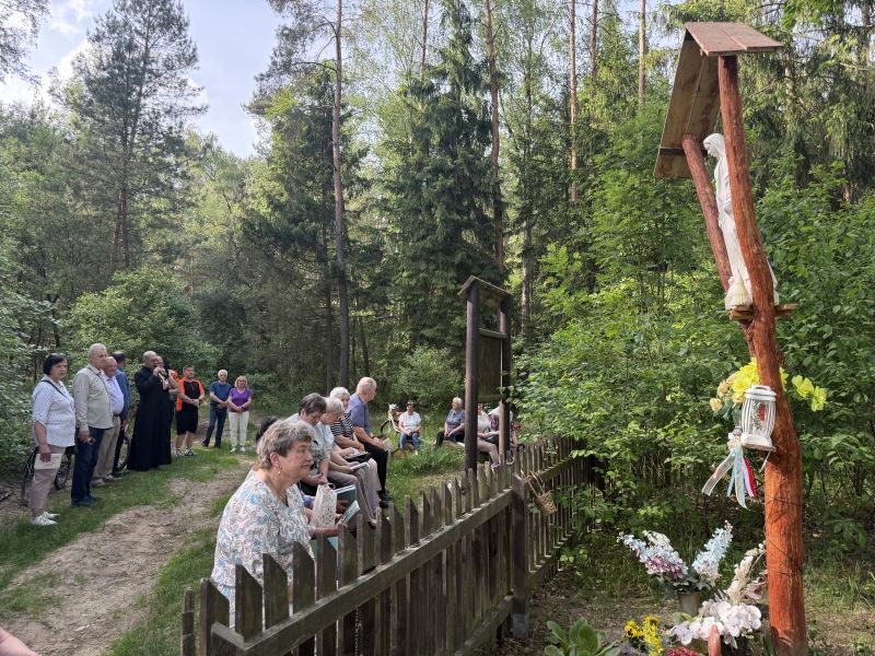 Nabożeństwo majowe pod dębem